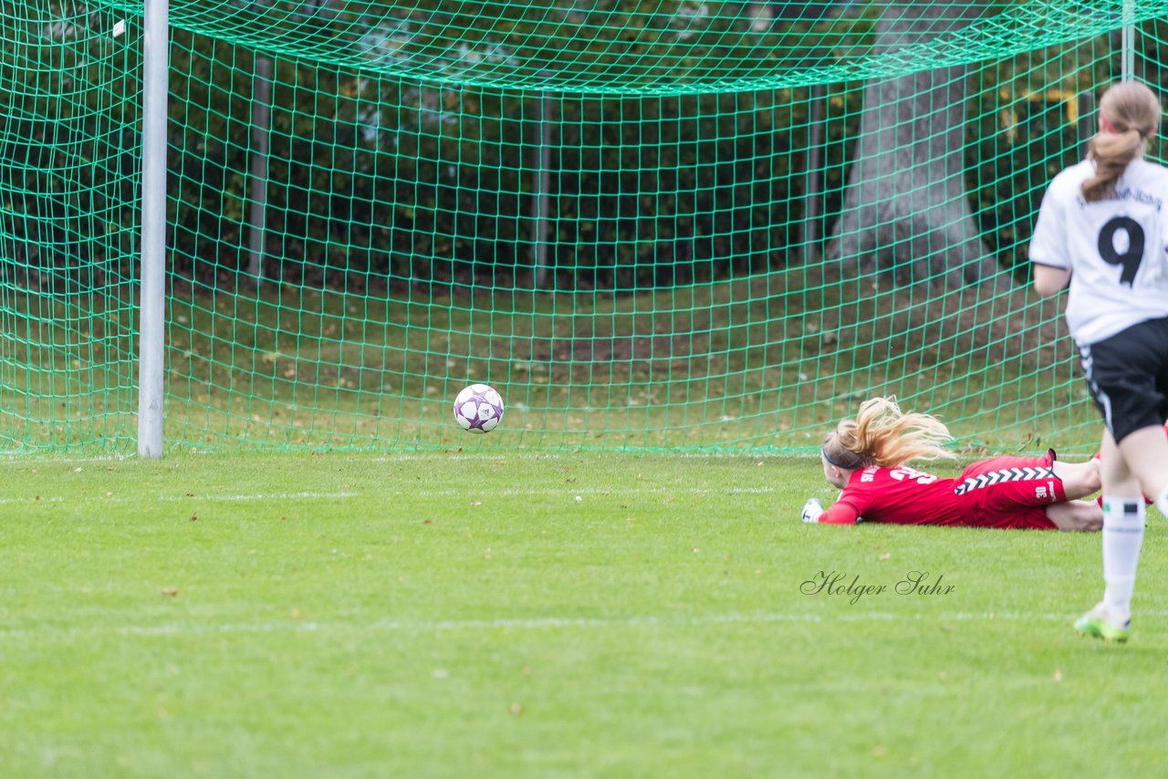 Bild 333 - B-Juniorinnen SV Henstedt Ulzburg - Hamburger SV : Ergebnis: 2:3